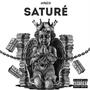 Saturé (feat. KNZO) [Explicit]