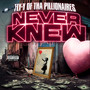 Never Knew (Explicit)