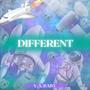 Different (Explicit)