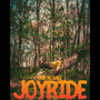 Joyride (Explicit)