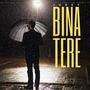 Bina Tere