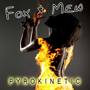 Pyrokinetic