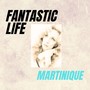 Fantastic Life