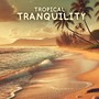 Tropical Tranquility: Healing Ocean Therapy Guided by Hawaiian Rhythms