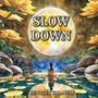 Slow Down (Acoustic Remix 432 Hz)