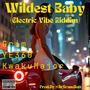 Wildest Baby (Electric Vibes Riddim) (feat. Grim, YungEnergy360 & Kwaku Major) [Explicit]