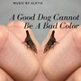 A Good Dog Cannot Be a Bad Color