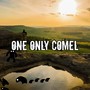 ONE ONLY COMEL (Instrumental Versions)