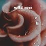 Wild Rose