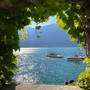Viano