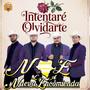 Intentaré Olvidarte