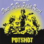 Dance To The Potshot Record