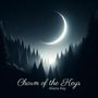 Charm of the Keys (Under Moonlit Skies, Piano Music, Instrumental Lullabies)