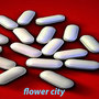 flower city