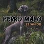 PERRO MALO