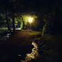 Night in the Park (Single Edit)