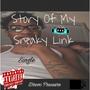 Story Of My Sneaky Link (Explicit)