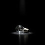 Lights Out (Explicit)