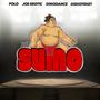 SUMO 2023