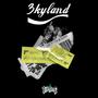 3KYLAND (feat. Gotti Lavoe) [Explicit]