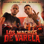 Los Wachos de Varela