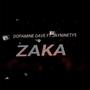 Zaka (feat. Jayninety5 & Vieno) [Explicit]