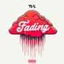 Fading (feat. professional opposition 69) [Explicit]