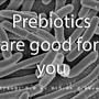 Prebiotics Are Good for You