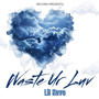 Waste Ur Luv (Explicit)