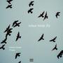 when birds fly (feat. 97otis) [Explicit]