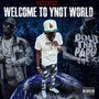 Welcome to Ynot World (Explicit)