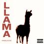 Llama (Explicit)