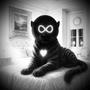 ANIMAL..