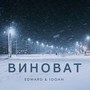 Виноват