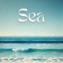 Sea Breeze Sleep: Oceanic Soundscape for Relaxation