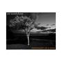 Photocopy of a Soul (Explicit)