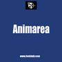 Animarea (studio version)