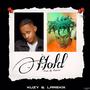 Hold (feat. Larekix)