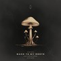 Back to My Roots (Kapoor & fernn Remix)