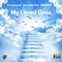 My Loved Ones (feat. Serenity Sky & DMON3Y) [Explicit]