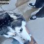 cpu (Explicit)