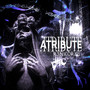 ATRIBUTE (Explicit)