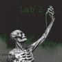 Lab 2 (Explicit)