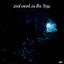 2nd week in the trap (Explicit)