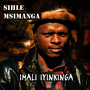 Imali Iyinkinga