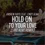 Hold On To Your Love (Luke Alive Remix)