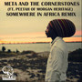 Somewhere in Africa (Remix) [feat. Peetah]