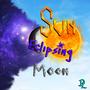 Sun Eclipsing Moon