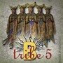 B-Tribe 5