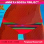 Andean Bossa Project